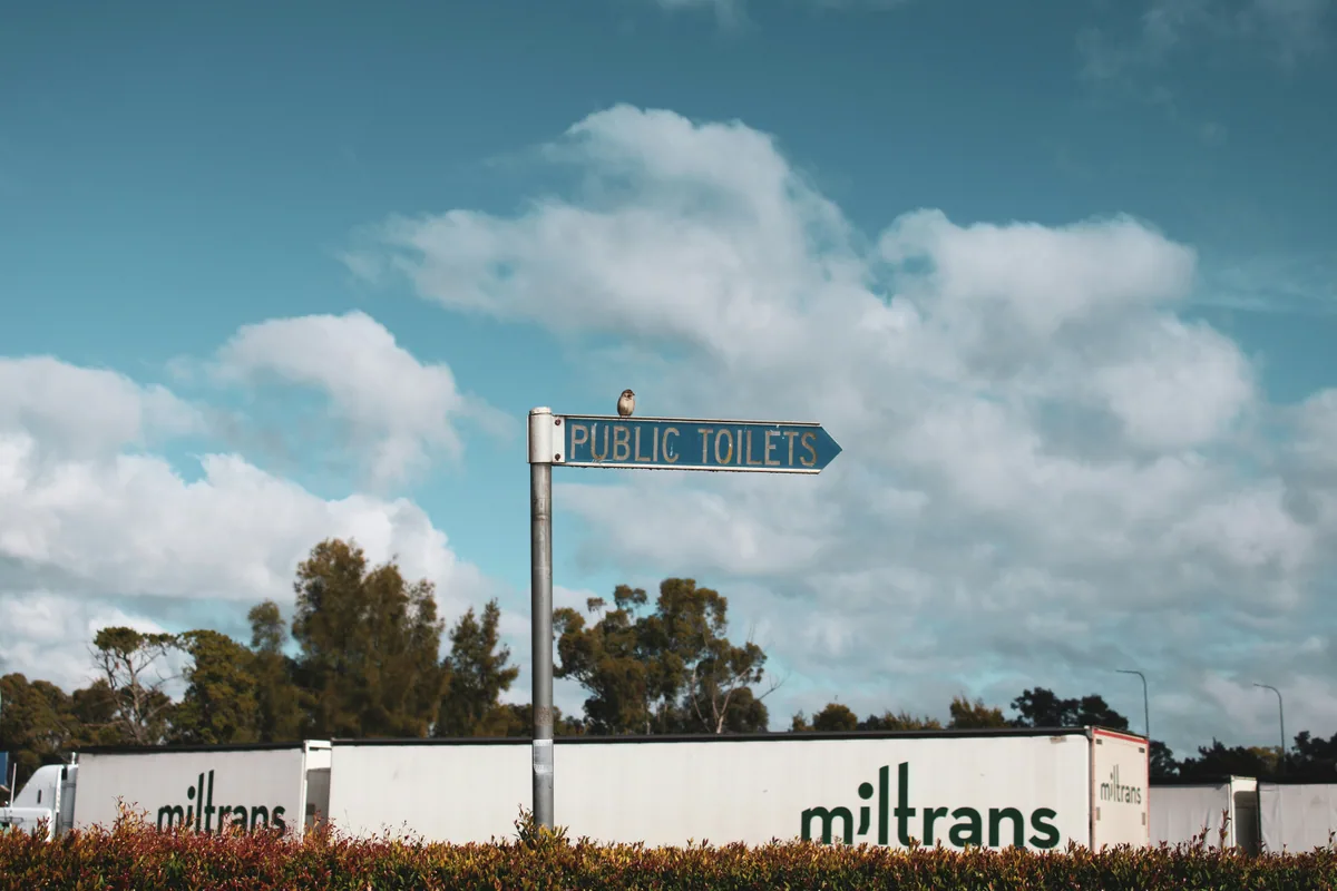 A sparrow perched on a public toilets sign under blue sky and clouds.